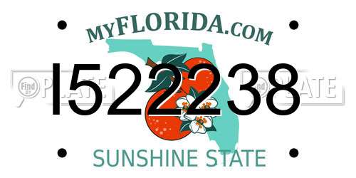 I522238 Florida License Plate