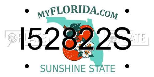 I52822S Florida License Plate