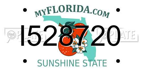 I528720 Florida License Plate