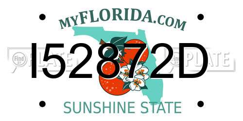 I52872D Florida License Plate