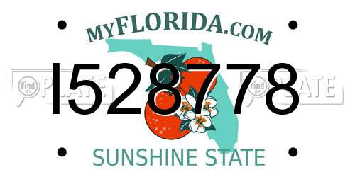 I528778 Florida License Plate