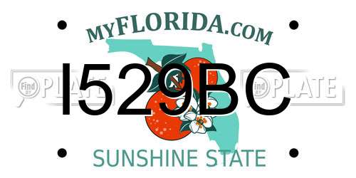 I529BC Florida License Plate