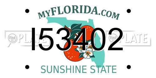 I53402 Florida License Plate