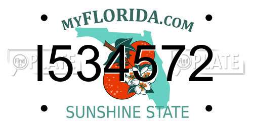 I534572 Florida License Plate