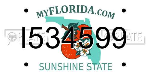 I534599 Florida License Plate