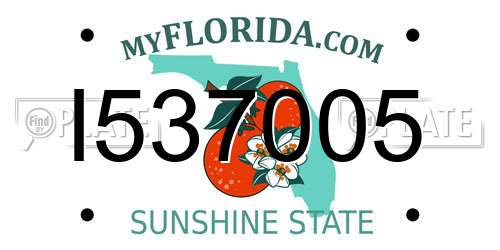I537005 Florida License Plate