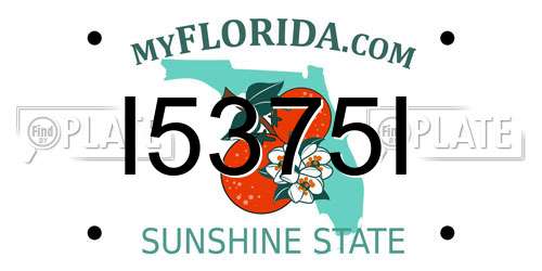 I5375I Florida License Plate