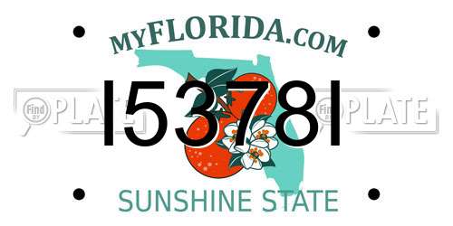 I5378I Florida License Plate