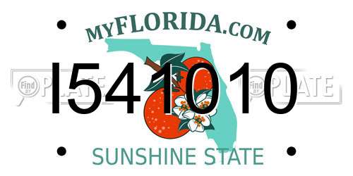 I541010 Florida License Plate