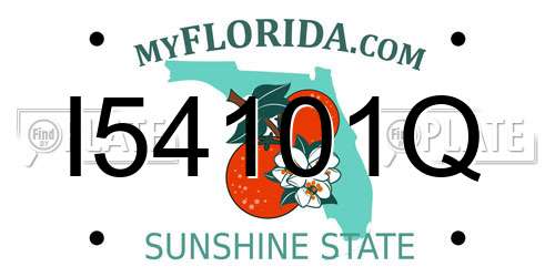 I54101Q Florida License Plate
