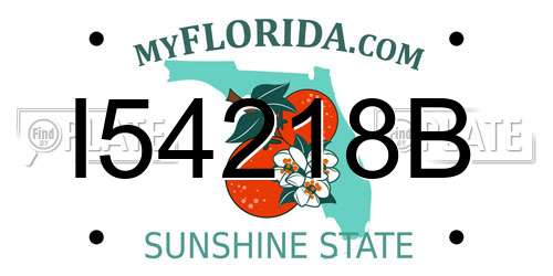 I54218B Florida License Plate