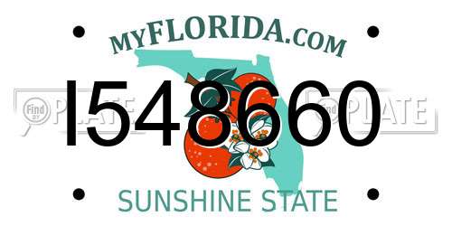 I548660 Florida License Plate