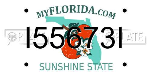 I55673I Florida License Plate