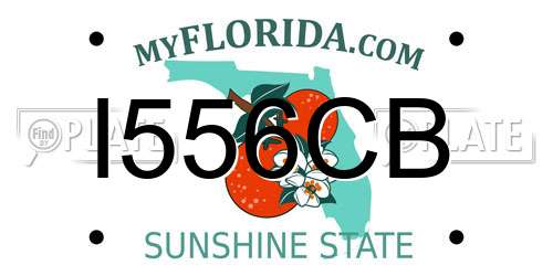 I556CB Florida License Plate