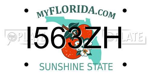 I563ZH Florida License Plate