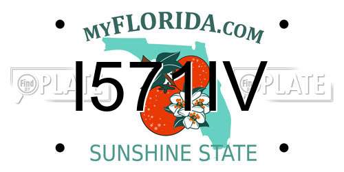 I571IV Florida License Plate