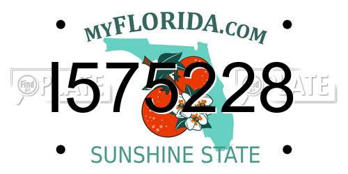 I575228 Florida License Plate