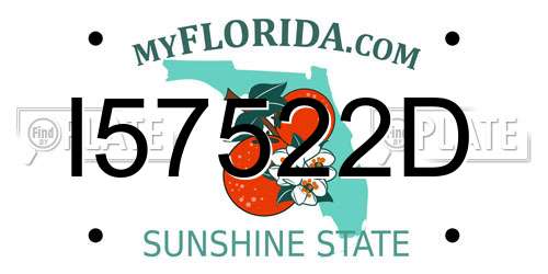 I57522D Florida License Plate