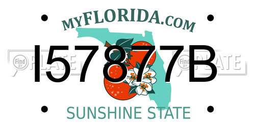 I57877B Florida License Plate