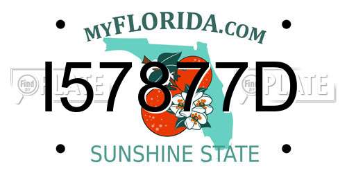I57877D Florida License Plate