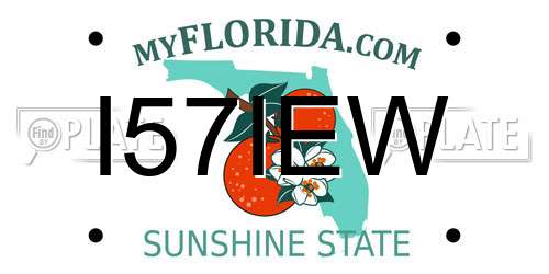 I57IEW Florida License Plate