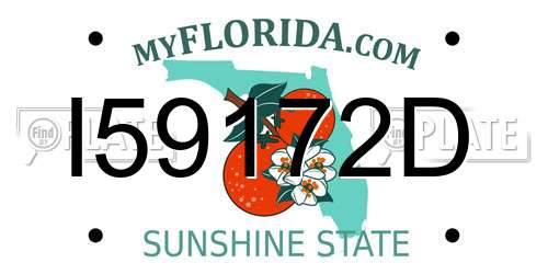 I59172D Florida License Plate