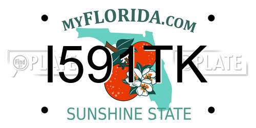 I591TK Florida License Plate