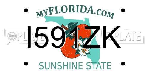 I591ZK Florida License Plate