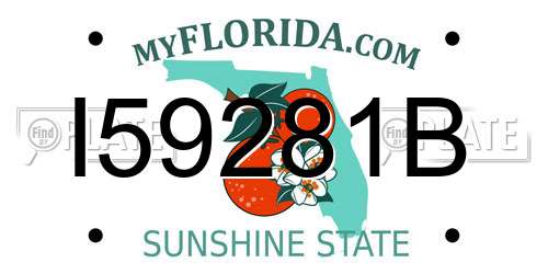 I59281B Florida License Plate