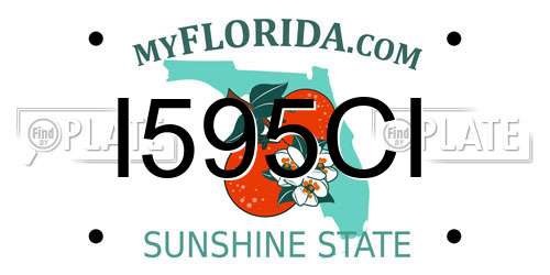I595CI Florida License Plate