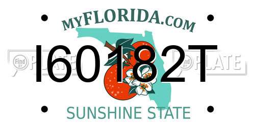 I60182T Florida License Plate