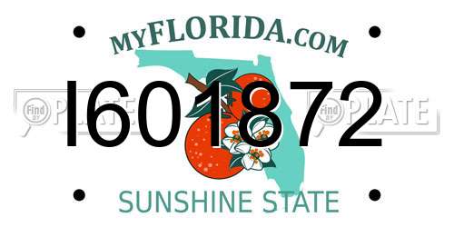I601872 Florida License Plate