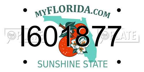 I601877 Florida License Plate