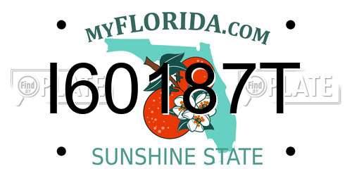 I60187T Florida License Plate