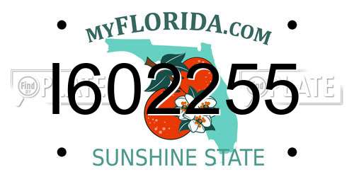 I602255 Florida License Plate