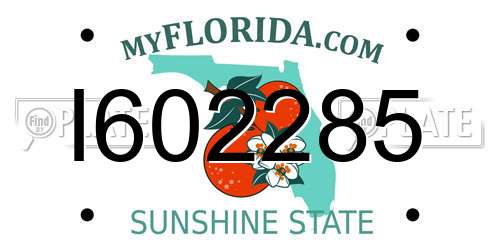 I602285 Florida License Plate