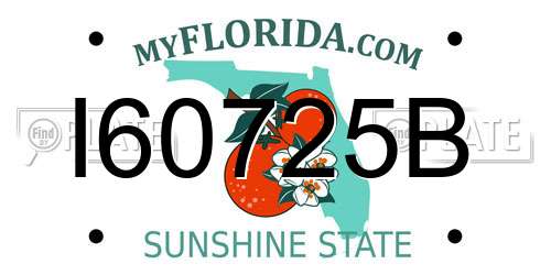 I60725B Florida License Plate