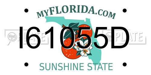 I61055D Florida License Plate