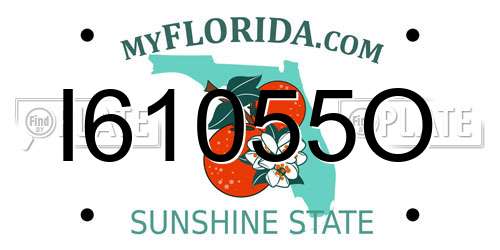 I61055O Florida License Plate