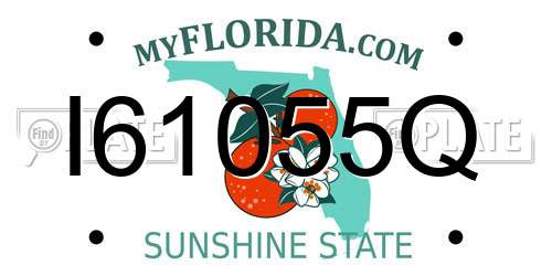I61055Q Florida License Plate