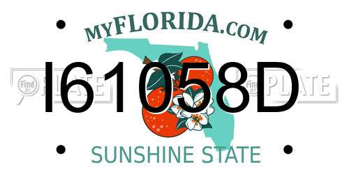 I61058D Florida License Plate