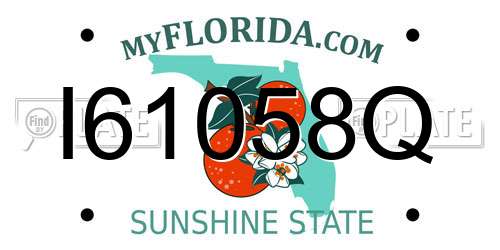 I61058Q Florida License Plate