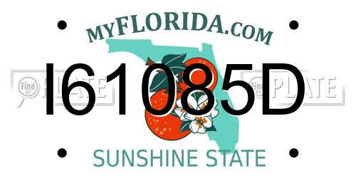 I61085D Florida License Plate