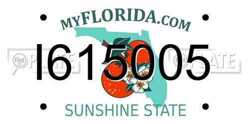 I615005 Florida License Plate