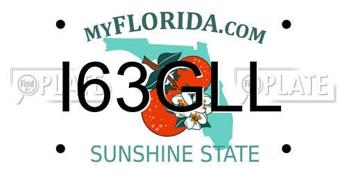 I63GLL Florida License Plate