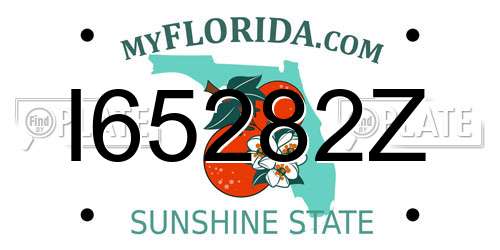 I65282Z Florida License Plate
