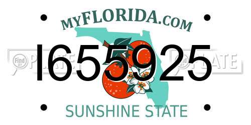 I655925 Florida License Plate