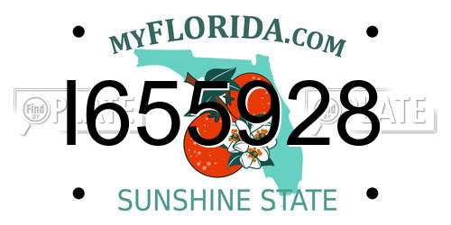 I655928 Florida License Plate