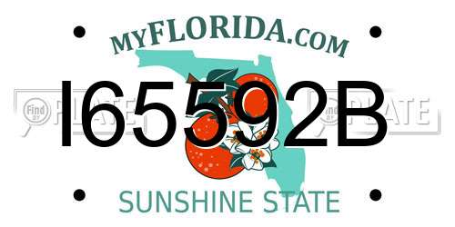 I65592B Florida License Plate