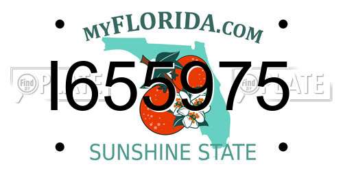 I655975 Florida License Plate